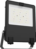Aca Στεγανός Προβολέας LED 100W Φυσικό Λευκό 4000K IP66 VADER10040
