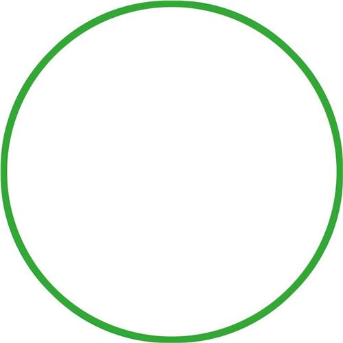Amila Στεφάνι Ρυθμικής με Διάμετρο 70cm Πράσινο 200gr
