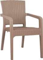 ArteLibre Καρέκλα Εξωτερικού Χώρου Rattan Cappuccino 58x55x87cm