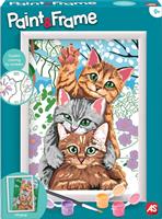 AS Company Ζωγραφική Paint & Frame Funny Kitties για Παιδιά 9+ Ετών 1038-41010