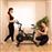 Cecotec CEC-07075 Spinning Drumfit Indoor Μαγνητικό