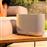 Denon Home 400 Ηχείο Bluetooth Stone