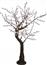 Eurolamp Δέντρο Αμυγδαλια 200cm 600-30526