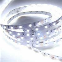 Eurolamp Ταινία LED Τροφοδοσίας 12V με Ψυχρό Λευκό Φως Μήκους 5m και 120 LED ανά Μέτρο Τύπου SMD3014 147-70210