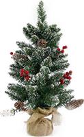 Eurolamp Χριστουγεννιάτικο Δέντρο Πράσινο Χιονισμένο 60cm με Μεταλλική Βάση 600-30006