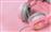 Havit H2233d Over Ear Gaming Headset με σύνδεση 2x3.5mm-USB Ροζ 21.05.0082