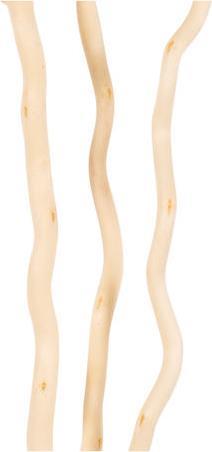 HomeMarkt Αποξηραμένο Φυτό Εκρού 3τμχ HM7967