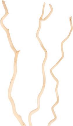 HomeMarkt Αποξηραμένο Φυτό Εκρού 3τμχ HM7967