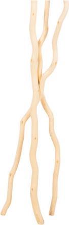 HomeMarkt Αποξηραμένο Φυτό Εκρού 3τμχ HM7967