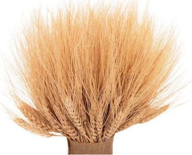HomeMarkt Αποξηραμένο Φυτό Στάχυα HM7963