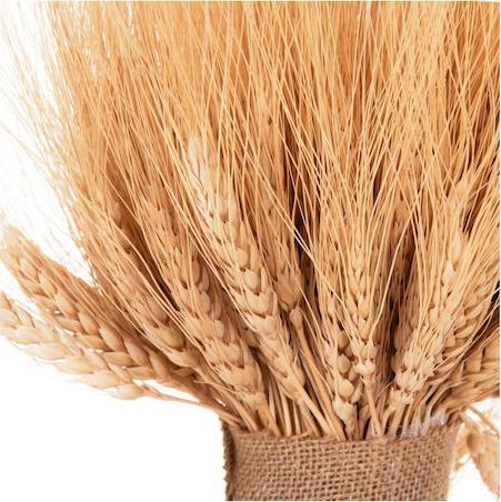 HomeMarkt Αποξηραμένο Φυτό Στάχυα HM7963