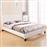 HomeMarkt Becca Κρεβάτι Διπλό Επενδυμένο με Δερματίνη Λευκό με Τάβλες για Στρώμα 150x200cm HM553.01