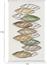 HomeMarkt Josiane Χαλί με Κρόσια Εκρού 120x170cm HM7677.36