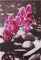 HomeMarkt Καμβάς Pink Orchid 60x90x2.5cm HM7154.12