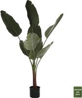 HomeMarkt Τεχνητό Φυτό σε Γλάστρα 150cm HM7982