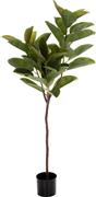 HomeMarkt Τεχνητό Φυτό σε Γλάστρα Φ18x14.5-160cm HM4000