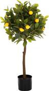 HomeMarkt Τεχνητό Φυτό σε Γλάστρα Λεμονιά Φ15x12.5-90cm HM4019