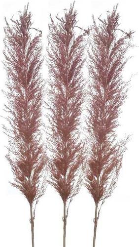 Inart Διακοσμητικό Φτερό Κλαδί Κεραμιδί 110cm 3τμχ 3-85-909-0025