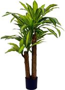 Inart Dracaena Διακοσμητικό Φυτό Γλάστρα Πράσινο Υ110cm 316-000008