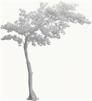Inart Τεχνητό Δέντρο Εξωτερικού Χώρου Λευκό-Ιβουάρ 280cm