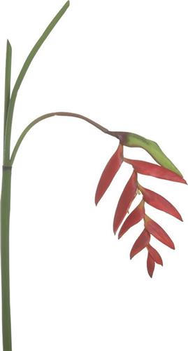 Inart Τεχνητό Φυτό Κόκκινο Κίτρινο 125cm 3-85-246-0286