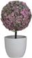 Inart Τεχνητό Φυτό σε Γλαστράκι Λευκό/Ροζ 25cm 3-85-311-0008