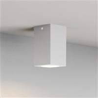 InLight Cowart Μονό Σποτ με Ντουί GU10 σε Λευκό χρώμα 80300624
