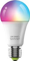 InLight Λάμπα LED E27 A60 RGBW App 7.27.10.01.7