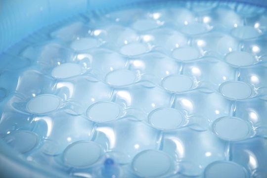 Intex Mushroom Baby Pool