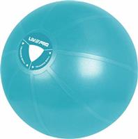 Live Pro Gym Ball 55cm Blue