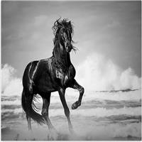 Megapap Black Horse Καμβάς Ψηφιακής Εκτύπωσης 60x60x3cm