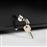 Morris B7451SDL Mini Bar 46lt Υ49.5xΠ45xΒ45cm Μαύρο