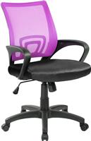 OEM Παιδική Καρέκλα Γραφείου Pro Systems Με Μπράτσα Μωβ 55x49x96cm 66-33651
