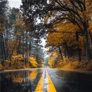 Pakketo Savgone Πίνακας σε Καμβά 50x50cm 176-000168