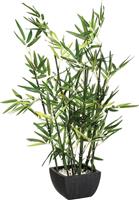 Pakoworld Φυτό σε Γλάστρα Green pakoworld 43x34x67cm