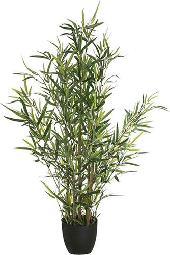 Pakoworld Φυτό σε Γλάστρα Green10 63x55x90cm