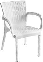 Pakoworld Καρέκλα Εξωτερικού Χώρου Πολυπροπυλενίου Festive Λευκή 60x60x82cm 253-000043