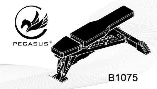 Pegasus B1075 Ρυθμιζόμενος Πάγκος Γυμναστικής Γενικής Χρήσης Λ-5823