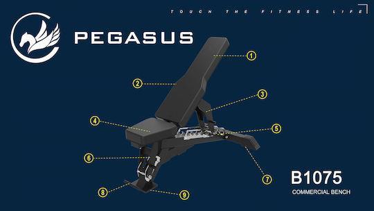 Pegasus B1075 Ρυθμιζόμενος Πάγκος Γυμναστικής Γενικής Χρήσης Λ-5823