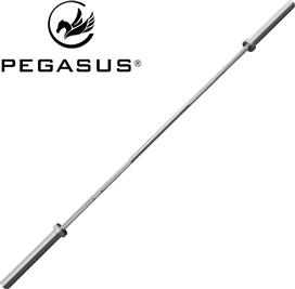 Pegasus 390318135 Ίσια Μπάρα Ολυμπιακού Τύπου Φ50 15.4kg Μήκους 200cm χωρίς Κολάρα 
