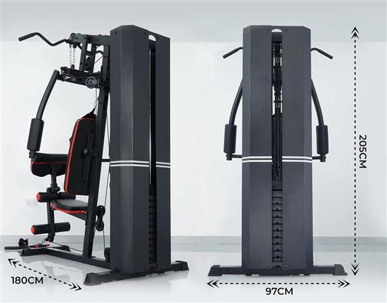 Pegasus MS-600 Πολυόργανο Γυμναστικής με Βάρη Λ-5210