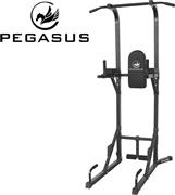 Pegasus PG-026A  Μονόζυγο-Δίζυγο