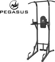 Pegasus PG-026A  Μονόζυγο-Δίζυγο