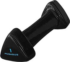 Pegasus PG-1005 Βαράκι Βινυλίου 1 x 1kg