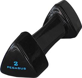 Pegasus PG-1005 Βαράκι Βινυλίου 1 x 2kg