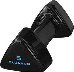 Pegasus PG-1005 Βαράκι Βινυλίου 1 x 5kg