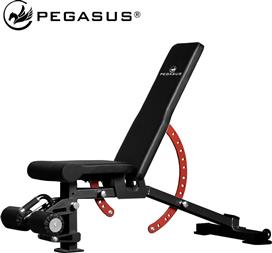 Pegasus PG-2101 Ρυθμιζόμενος Πάγκος Γυμναστικής Κοιλιακών