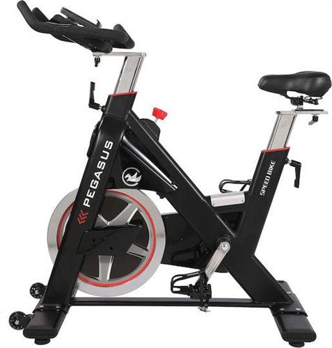 Pegasus PG5 Ποδήλατο Spinning με Ροδάκια