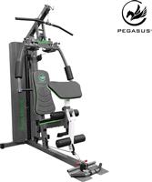Pegasus Πολυόργανο Γυμναστικής με Βάρη 93kg x93kg Λ-5212