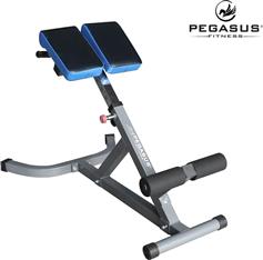 Pegasus Ρυθμιζόμενος Πάγκος Γυμναστικής Ραχιαίων-Κοιλιακών Λ-5131